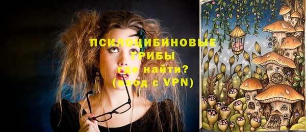 стафф Ладушкин