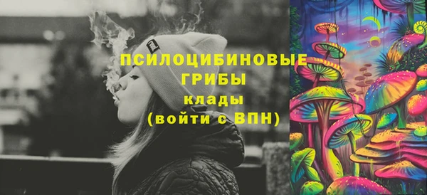 амф Михайловск