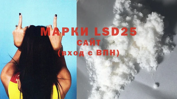 индика Майский
