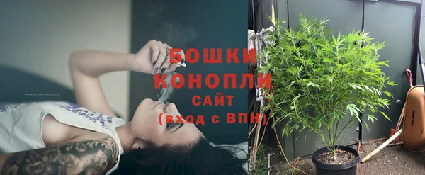 мдпв Михайлов
