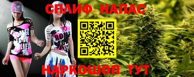 гашик Баксан