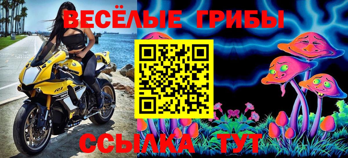 Слободской  Псилоцибиновые грибы MAGIC MUSHROOMS  Вход с VPN 
